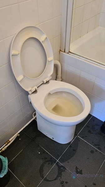  verstopping toilet Numansdorp